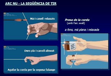 Arc Nu Sequencia